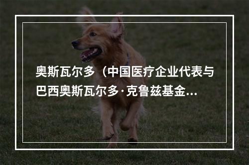 奥斯瓦尔多（中国医疗企业代表与巴西奥斯瓦尔多·克鲁兹基金会座谈交流）