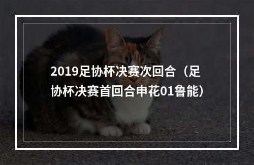 2019足协杯决赛次回合（足协杯决赛首回合申花01鲁能）