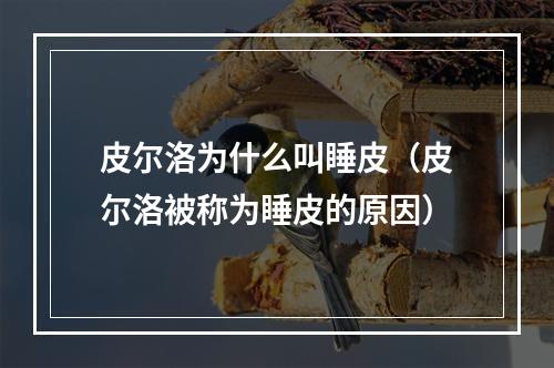 皮尔洛为什么叫睡皮（皮尔洛被称为睡皮的原因）