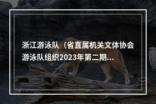 浙江游泳队（省直属机关文体协会游泳队组织2023年第二期游泳培训）