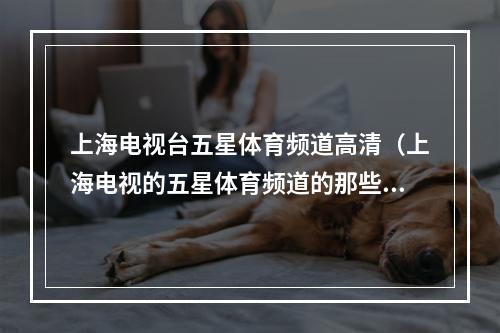 上海电视台五星体育频道高清（上海电视的五星体育频道的那些名主持）