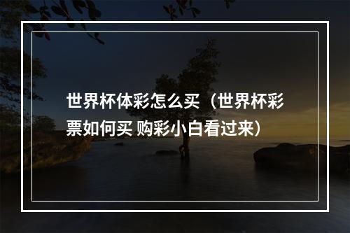 世界杯体彩怎么买（世界杯彩票如何买 购彩小白看过来）