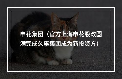 申花集团（官方上海申花股改圆满完成久事集团成为新投资方）