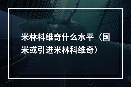 米林科维奇什么水平（国米或引进米林科维奇）