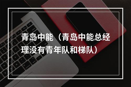 青岛中能（青岛中能总经理没有青年队和梯队）