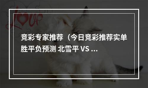 竞彩专家推荐（今日竞彩推荐实单胜平负预测 北雪平 VS AIK索尔纳 勇往直前）