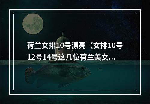 荷兰女排10号漂亮（女排10号12号14号这几位荷兰美女们气质佳）