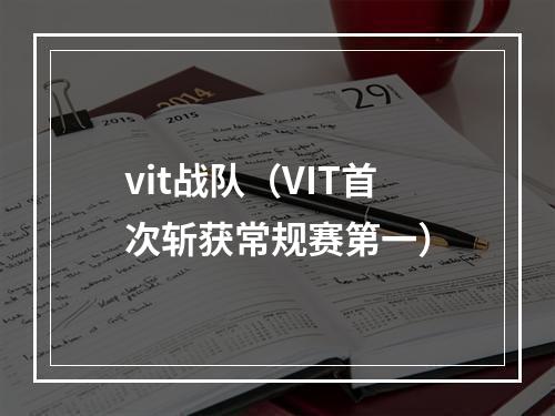 vit战队（VIT首次斩获常规赛第一）