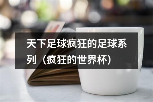 天下足球疯狂的足球系列（疯狂的世界杯）