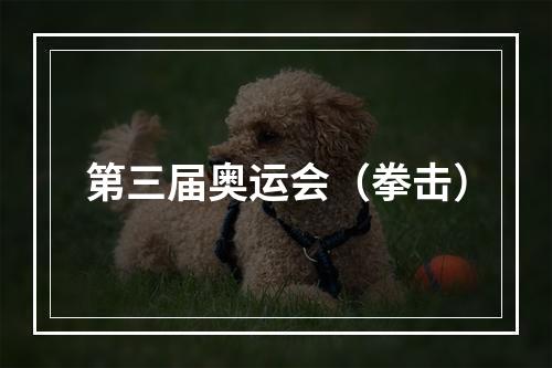 第三届奥运会（拳击）