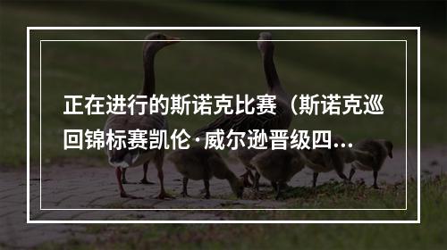 正在进行的斯诺克比赛（斯诺克巡回锦标赛凯伦·威尔逊晋级四强 半决赛迎战丁俊晖）