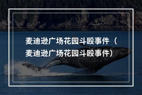 麦迪逊广场花园斗殴事件（麦迪逊广场花园斗殴事件）