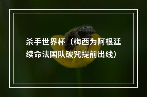 杀手世界杯（梅西为阿根廷续命法国队破咒提前出线）