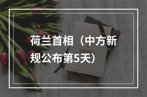 荷兰首相（中方新规公布第5天）