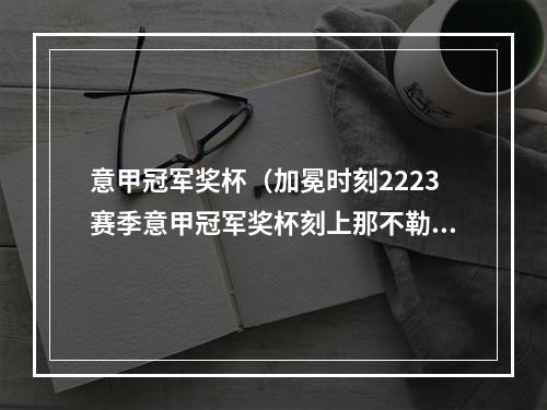 意甲冠军奖杯（加冕时刻2223赛季意甲冠军奖杯刻上那不勒斯队名）