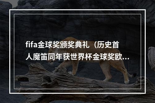 fifa金球奖颁奖典礼（历史首人魔笛同年获世界杯金球奖欧足联和FIFA最佳）