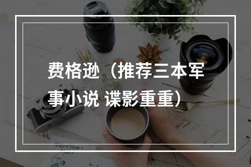 费格逊（推荐三本军事小说 谍影重重）