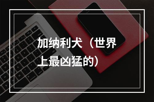 加纳利犬（世界上最凶猛的）