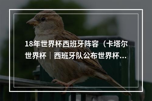 18年世界杯西班牙阵容（卡塔尔世界杯｜西班牙队公布世界杯大名单20人首次出征世界杯）
