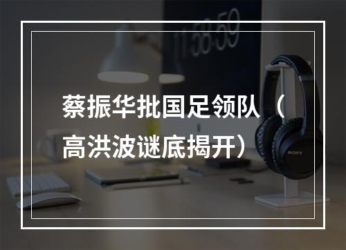 蔡振华批国足领队（高洪波谜底揭开）