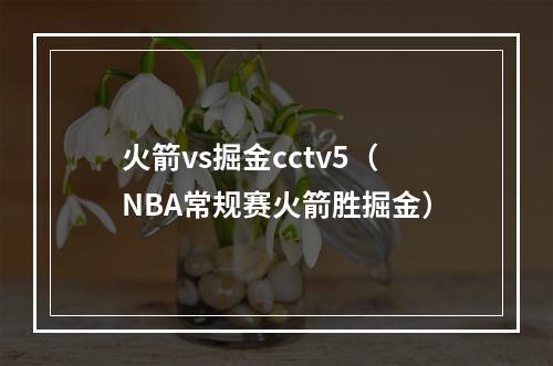 火箭vs掘金cctv5（NBA常规赛火箭胜掘金）
