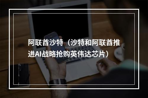 阿联酋沙特（沙特和阿联酋推进AI战略抢购英伟达芯片）