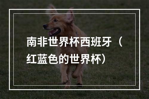 南非世界杯西班牙（红蓝色的世界杯）