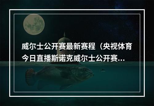 威尔士公开赛最新赛程（央视体育今日直播斯诺克威尔士公开赛14决赛附赛程）