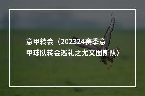意甲转会（202324赛季意甲球队转会巡礼之尤文图斯队）