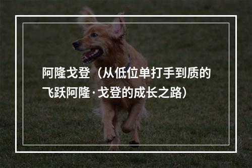 阿隆戈登（从低位单打手到质的飞跃阿隆·戈登的成长之路）