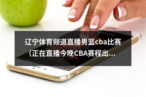 辽宁体育频道直播男篮cba比赛（正在直播今晚CBA赛程出炉辽宁男篮期望反超广东男篮重返第2）