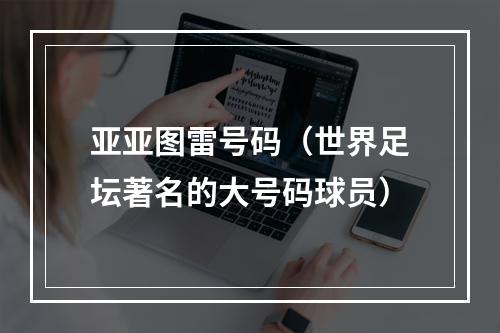 亚亚图雷号码（世界足坛著名的大号码球员）