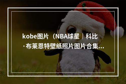 kobe图片（NBA球星｜科比·布莱恩特壁纸照片图片合集34张）