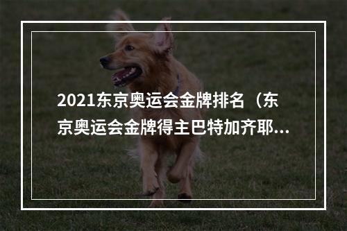 2021东京奥运会金牌排名（东京奥运会金牌得主巴特加齐耶夫第九回合KO对手）