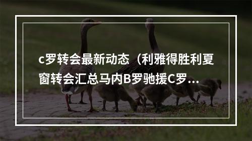 c罗转会最新动态（利雅得胜利夏窗转会汇总马内B罗驰援C罗）