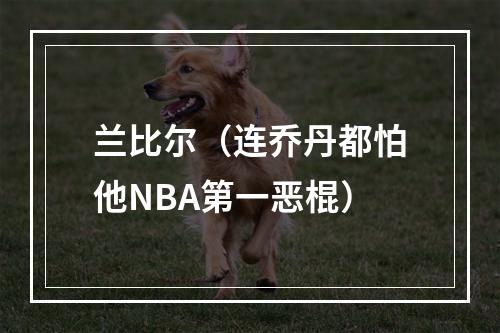 兰比尔（连乔丹都怕他NBA第一恶棍）