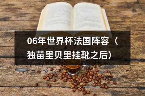 06年世界杯法国阵容（独苗里贝里挂靴之后）