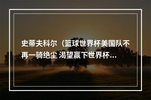 史蒂夫科尔（篮球世界杯美国队不再一骑绝尘 渴望赢下世界杯冠军专访美国男篮主教练史蒂夫·科尔）