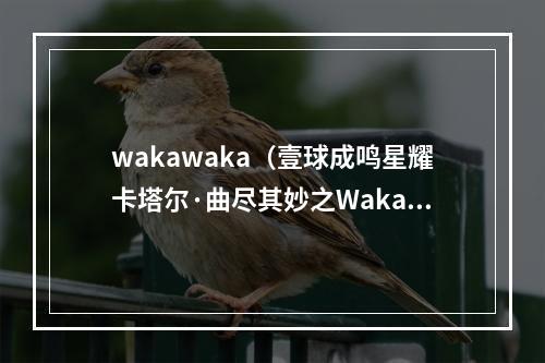 wakawaka（壹球成鸣星耀卡塔尔·曲尽其妙之Waka Waka）