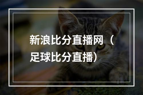 新浪比分直播网（足球比分直播）