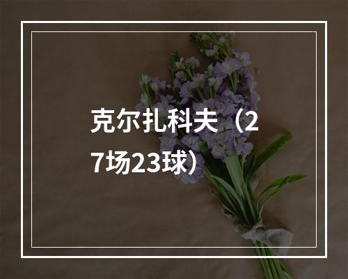 克尔扎科夫（27场23球）