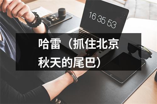 哈雷（抓住北京秋天的尾巴）