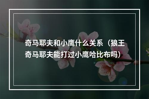 奇马耶夫和小鹰什么关系（狼王奇马耶夫能打过小鹰哈比布吗）