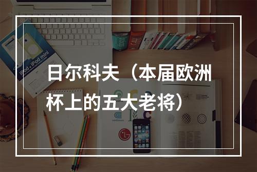 日尔科夫（本届欧洲杯上的五大老将）