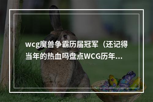 wcg魔兽争霸历届冠军（还记得当年的热血吗盘点WCG历年魔兽争霸项目冠军）