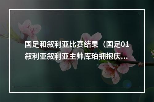 国足和叙利亚比赛结果（国足01叙利亚叙利亚主帅库珀拥抱庆祝）