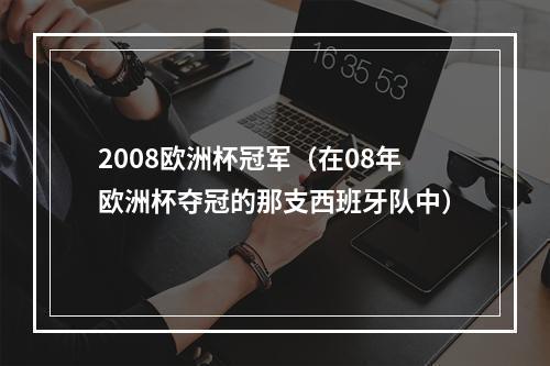 2008欧洲杯冠军（在08年欧洲杯夺冠的那支西班牙队中）