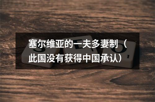 塞尔维亚的一夫多妻制（此国没有获得中国承认）