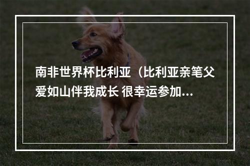 南非世界杯比利亚（比利亚亲笔父爱如山伴我成长 很幸运参加三次世界杯）
