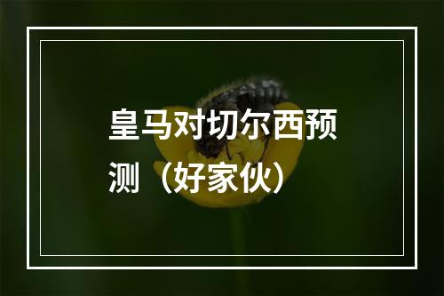 皇马对切尔西预测（好家伙）